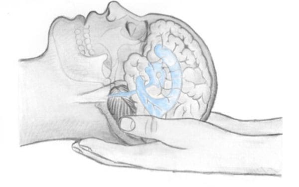 Изображение карточки: Что чувствует остеопат
